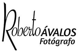 www.robertoavalos.com